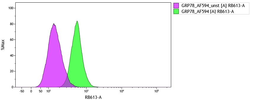 GRP78/HSPA5 Antibody - BSA Free NBP1-06274