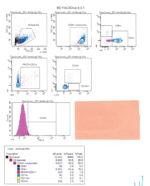 CD8 Antibody (fCD8) [PE] NBP1-28254PE