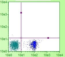 CD4 Antibody (CT-4) - Azide and BSA Free NBP1-28266
