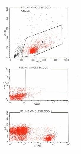 CD20 Antibody (B-Ly1) [Allophycocyanin] NBP1-28384
