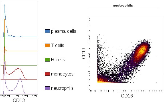 Aminopeptidase N/CD13 Antibody (22A5) - Azide and BSA Free NBP1-28429