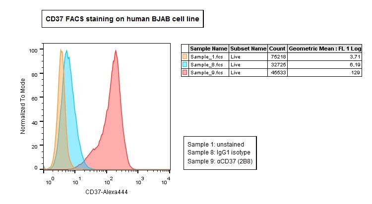 CD37 Antibody (2B8) NBP1-28869