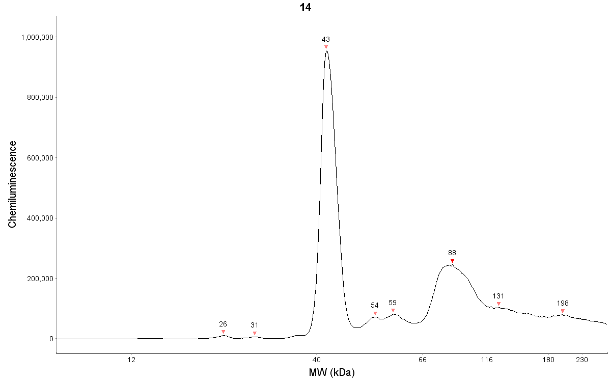 Loricrin Antibody NBP1-33610
