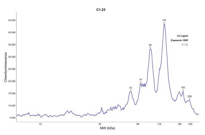 ATF6 Antibody (70B1413.1) - BSA Free NBP1-40256