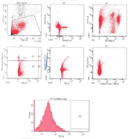 CD90/Thy1 Antibody (5E10) [PerCP/Cy5.5] NBP1-42847
