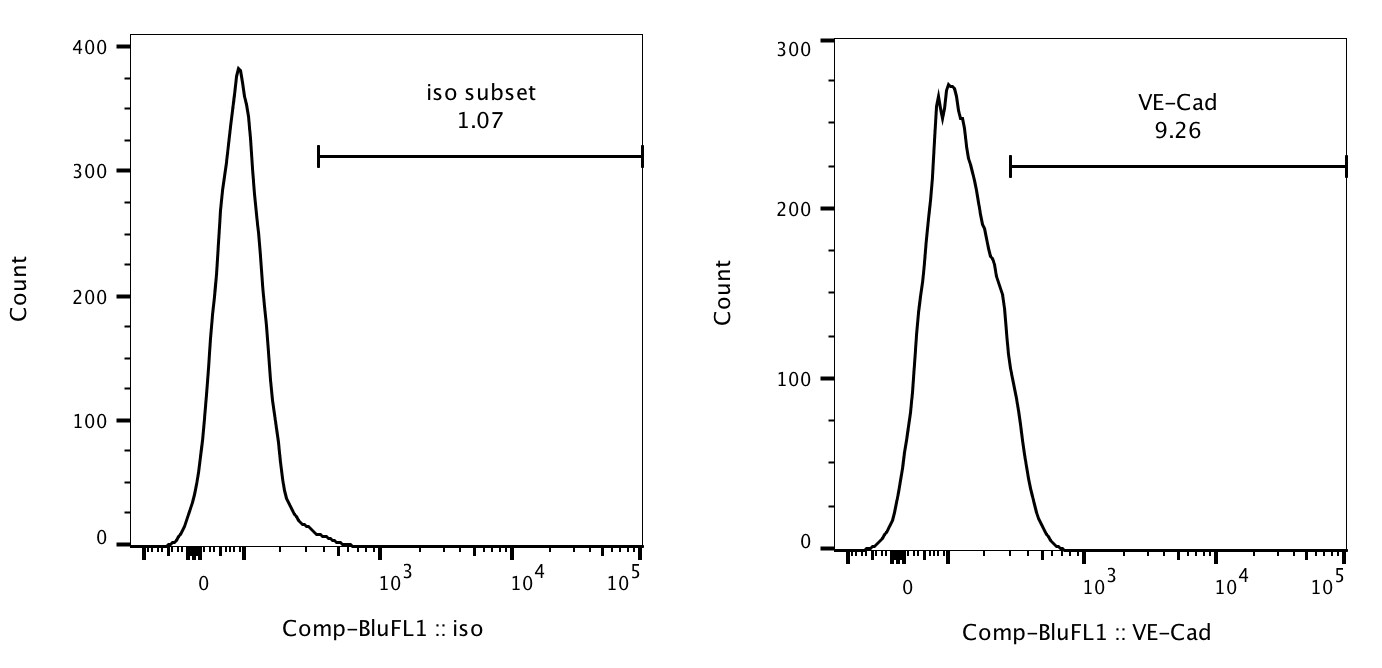 VE-Cadherin Antibody (BV14) [Alexa Fluor® 488] NBP1-43347AF488