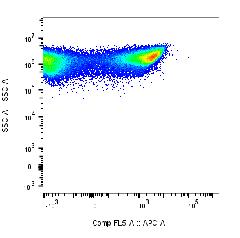 Calreticulin Antibody (1G6A7) [Alexa Fluor® 647] NBP1-47518AF647