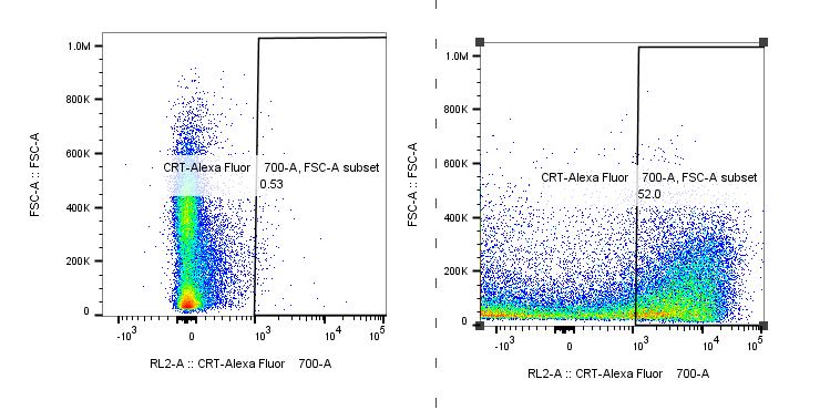 Calreticulin Antibody (1G6A7) [Alexa Fluor® 700] NBP1-47518AF700