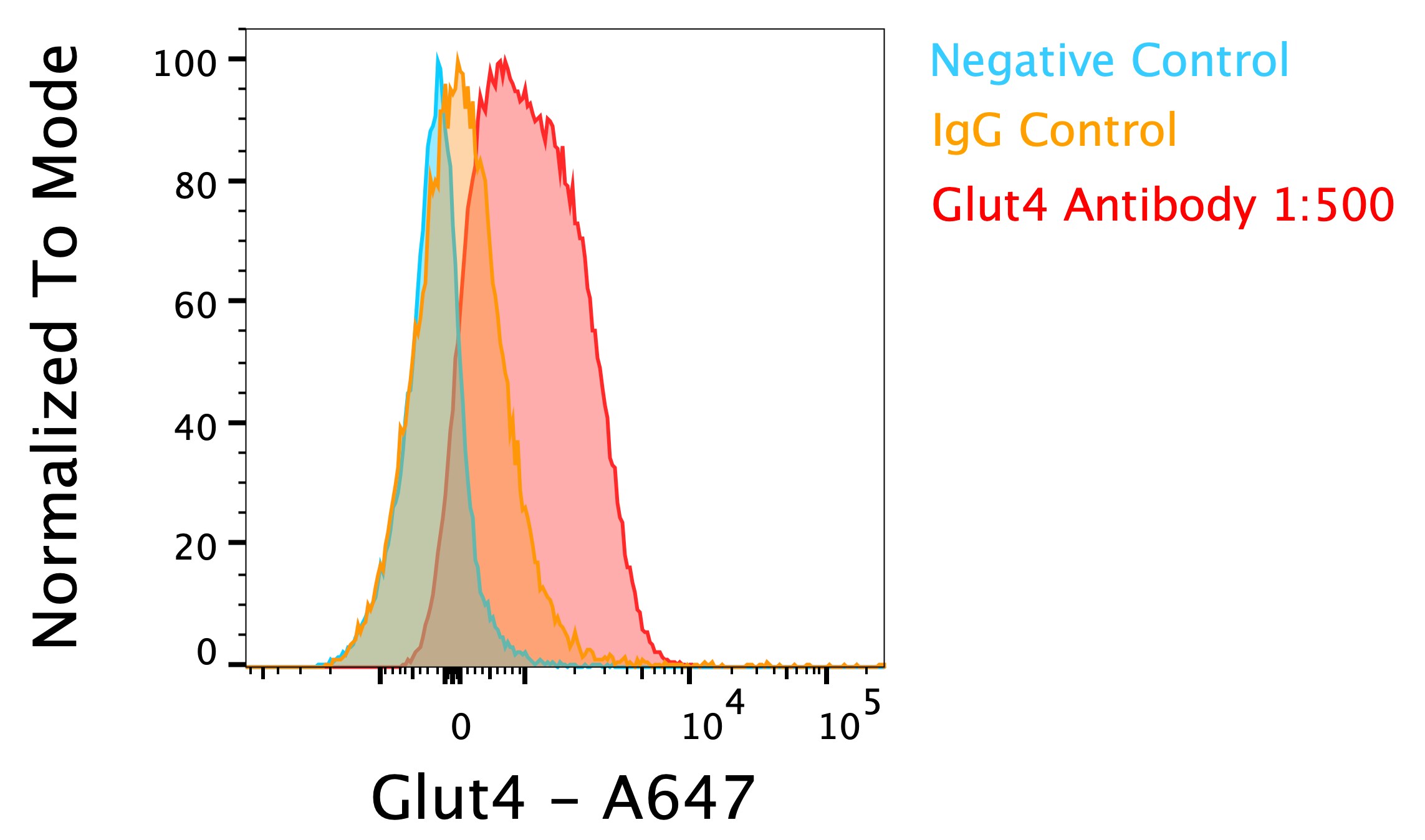 Glut4 Antibody [Alexa Fluor® 647] NBP1-49533AF647