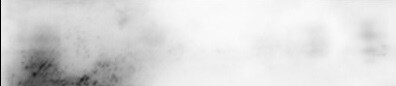 DEPTOR/DEPDC6 Antibody - BSA Free NBP1-49674