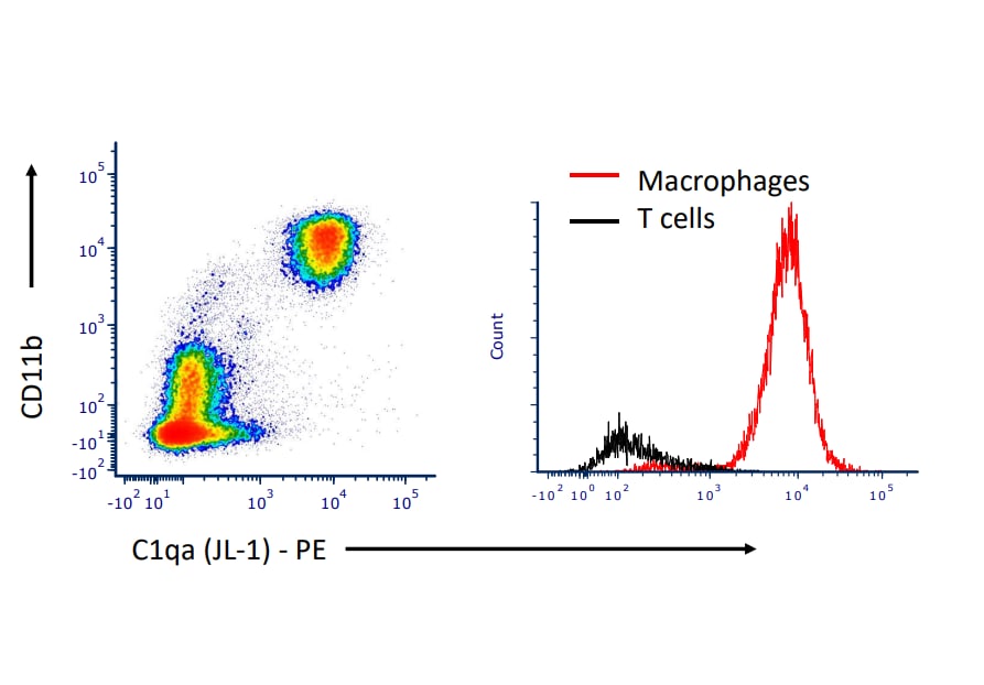 Complement Component C1qA Antibody (JL-1) - Azide Free NBP1-51139