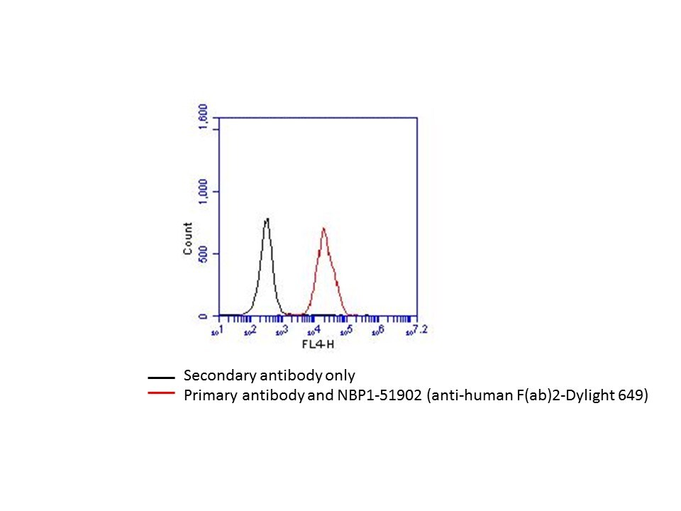 Goat F(ab')2 anti-Human IgG F(ab')2 Secondary Antibody [DyLight 649] (Pre-adsorbed) NBP1-51902