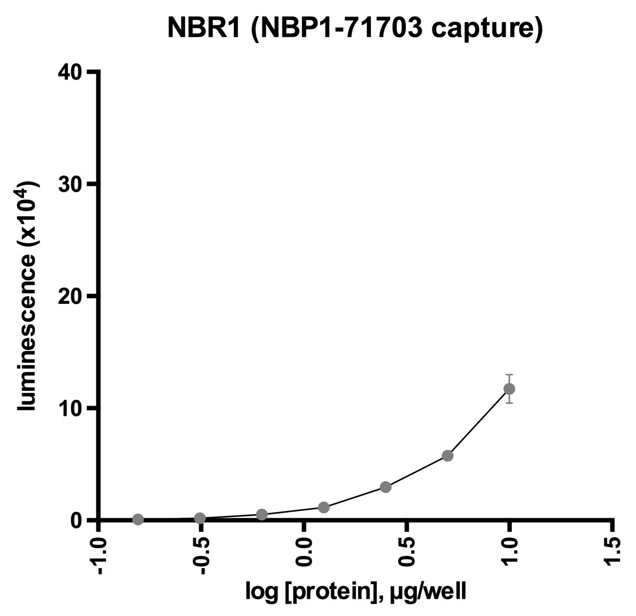NBR1 Antibody - BSA Free NBP1-71703