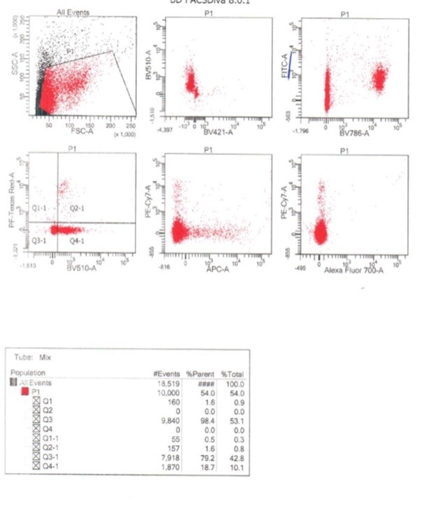 Goat anti-Feline IgG (H+L) Secondary Antibody [FITC] NBP1-75709
