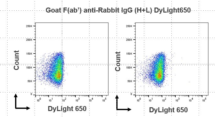 Goat F(ab')2 anti-Rabbit IgG (H+L) Secondary Antibody [DyLight 650] (Pre-adsorbed) NBP1-76088