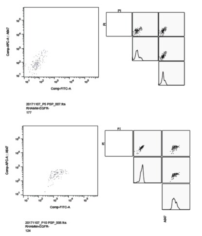 RHAMM/CD168 Antibody - BSA Free NBP1-76538