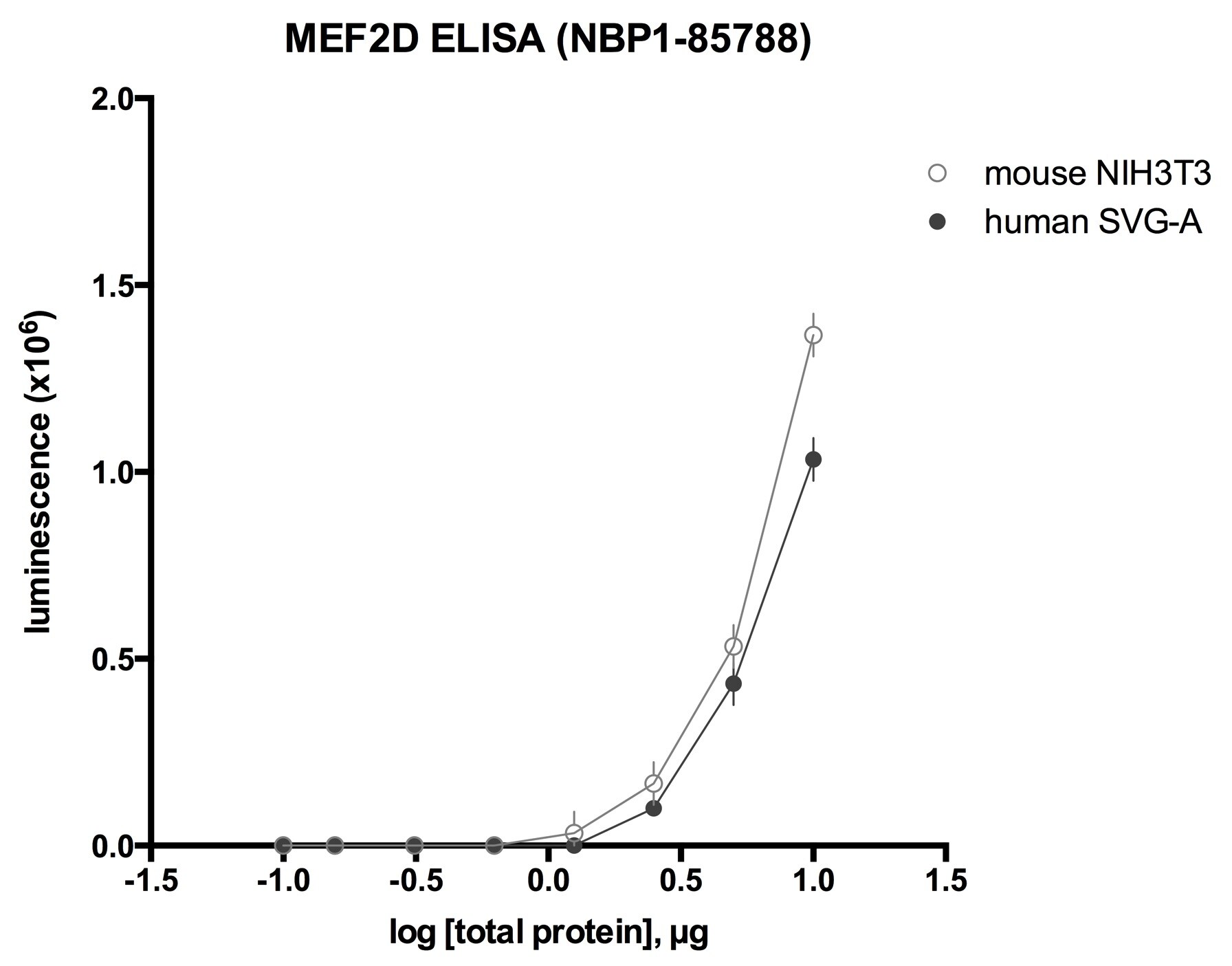 MEF2D Antibody - BSA Free NBP1-85788