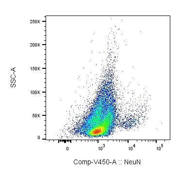 RBFOX3/NeuN Antibody (1B7) [Biotin] NBP1-92693B