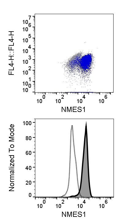 NMES1 Antibody - BSA Free NBP1-98391