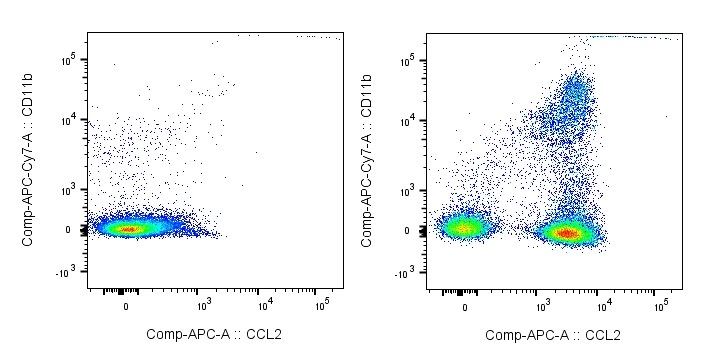 CCL2/MCP1 Antibody (2D8) [Allophycocyanin] NBP2-22115APC