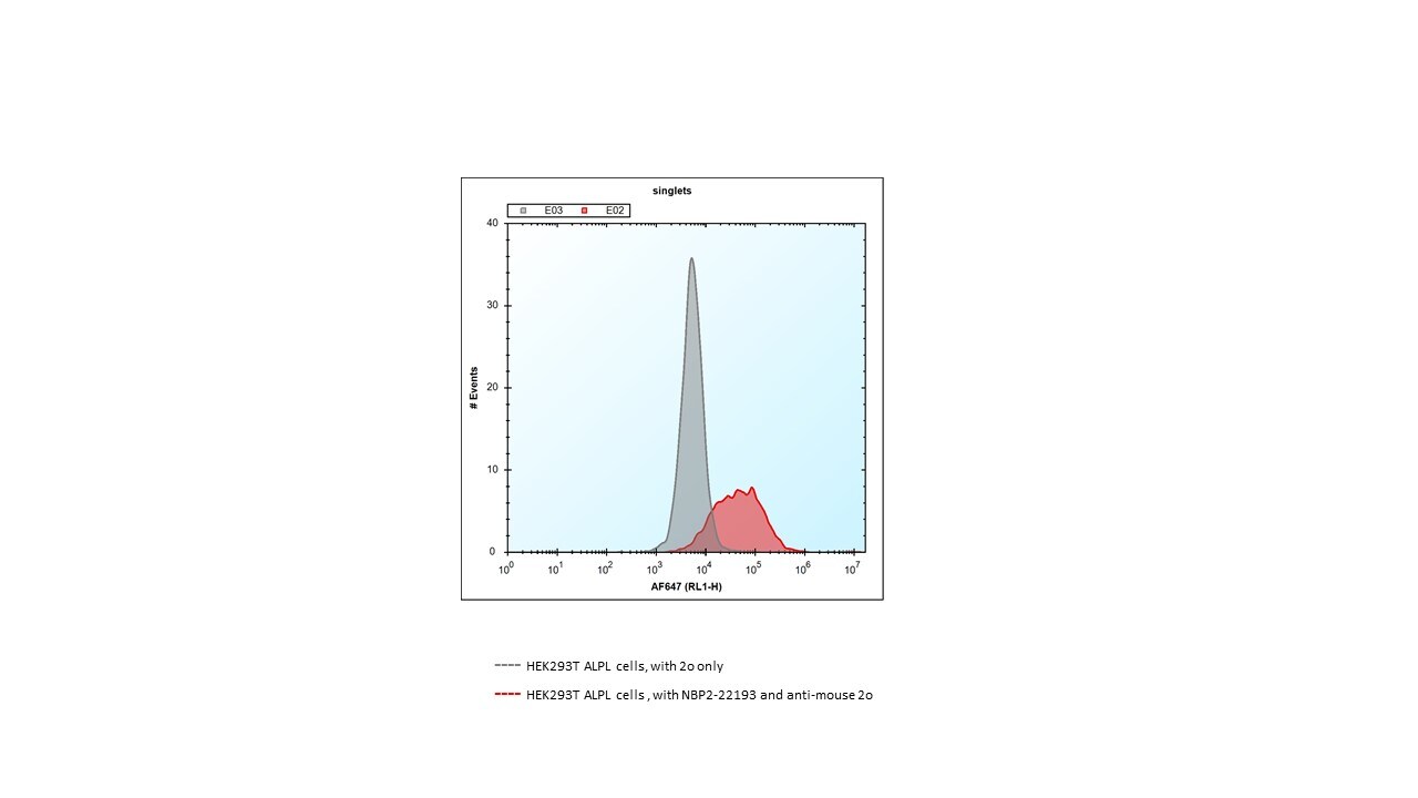 Alkaline Phosphatase, Tissue Non-Specific Antibody (2F4) - BSA Free NBP2-22193