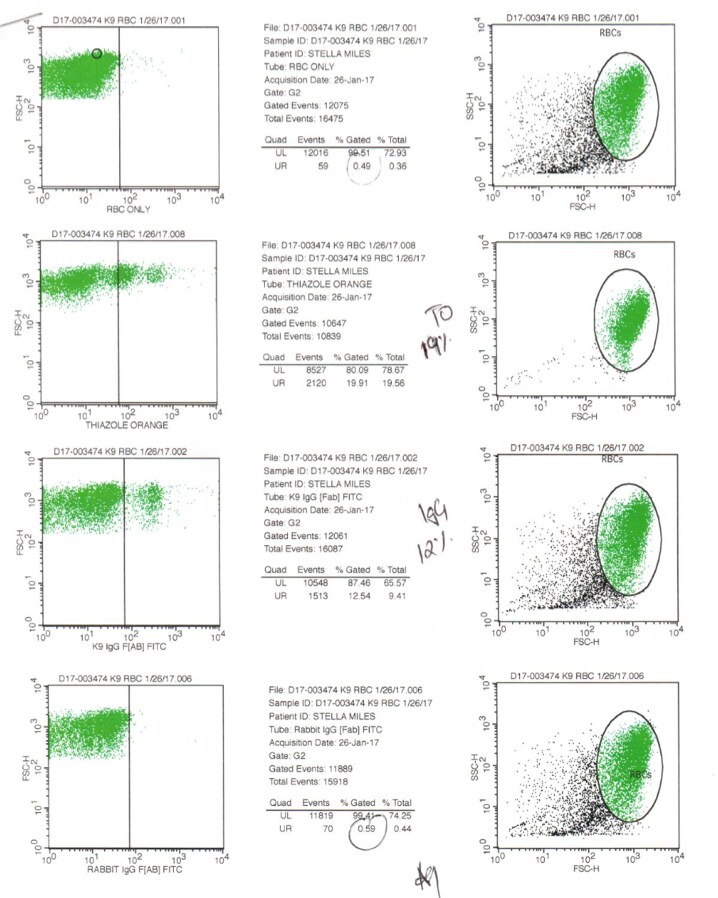 Rabbit IgG Isotype Control [FITC] NBP2-24892