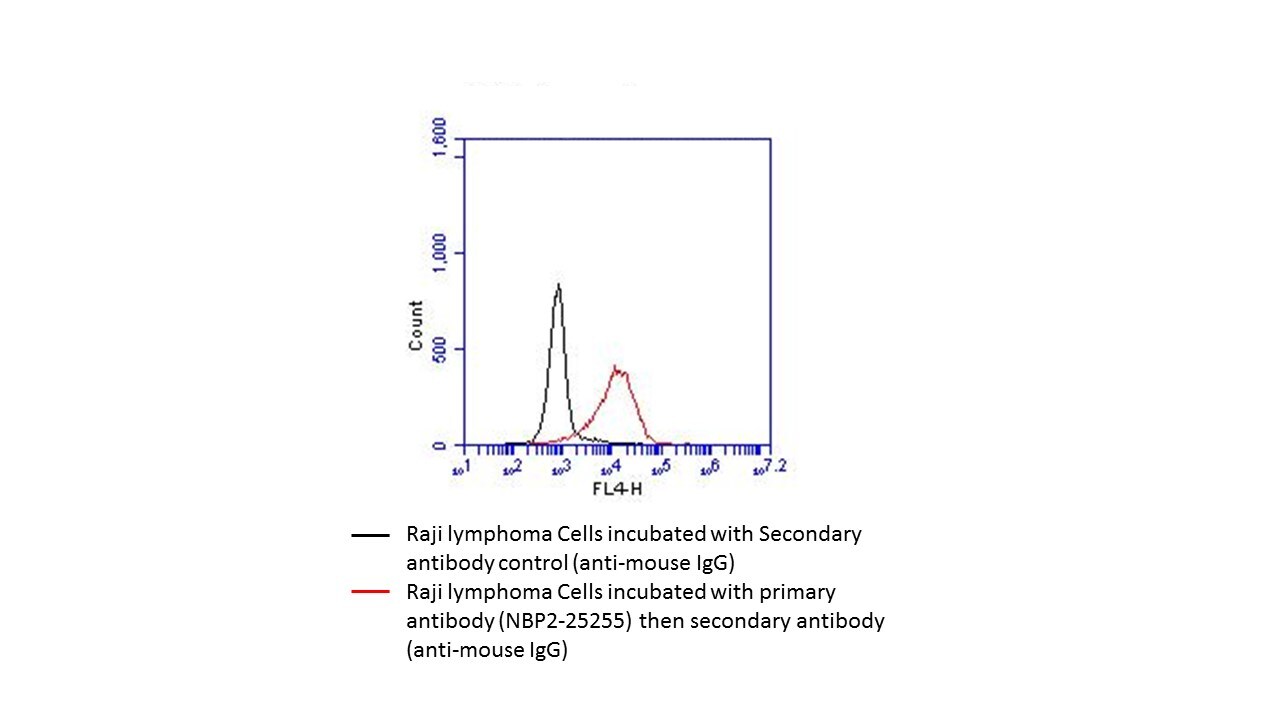 B7-1/CD80 Antibody (62N3G8) - BSA Free NBP2-25255
