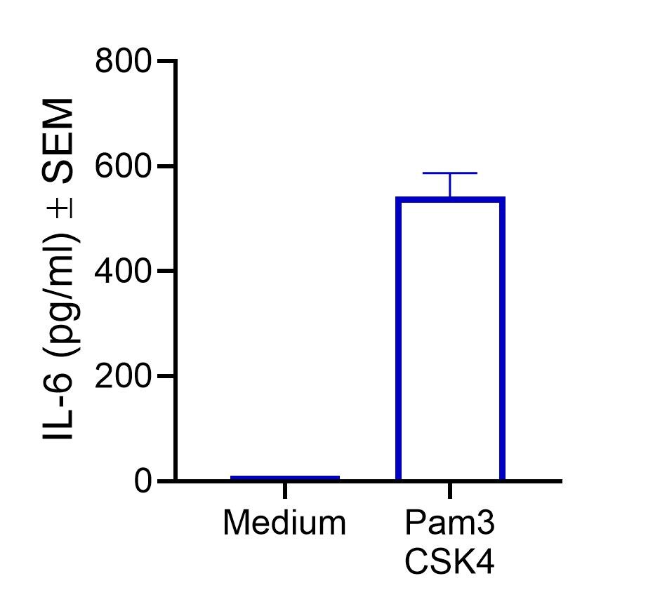 Pam3CSK4, TLR1 and TLR2 Ligand NBP2-25297