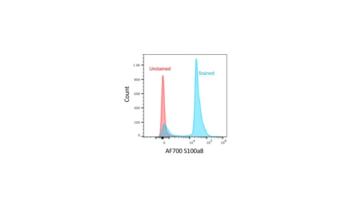 S100A8 Antibody (63N13G5) [Alexa Fluor® 700] NBP2-27067AF700