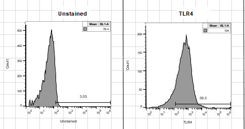 TLR4 Antibody (76B357.1) [PE] NBP2-27149PE