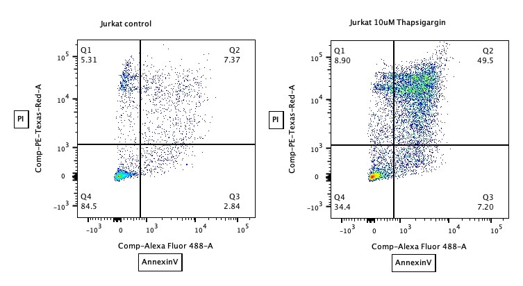 Annexin V Apoptosis Kit [FITC] NBP2-29373