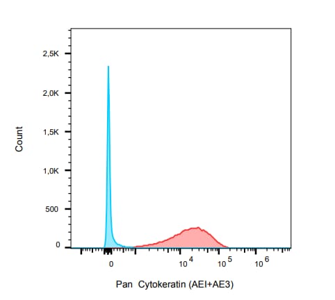 Cytokeratin, pan Antibody (AE-1/AE-3) NBP2-29429