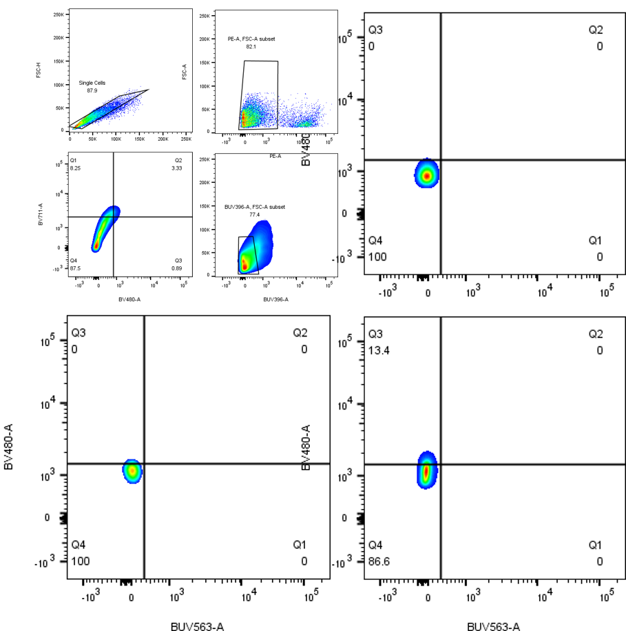 ER alpha/NR3A1 Antibody (ER506) [Alexa Fluor® 594] NBP2-33321AF594
