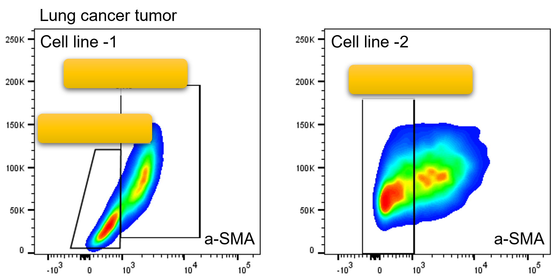 alpha-Smooth Muscle Actin Antibody (1A4/asm-1) [Alexa Fluor® 647] NBP2-34522AF647