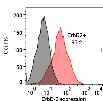 ErbB2/Her2 Antibody (HRB2/258) [Alexa Fluor® 488] NBP2-34641AF488