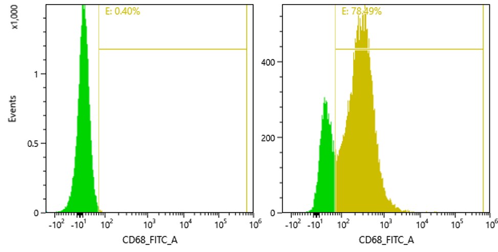 CD68/SR-D1 Antibody (SPM130) [Biotin] NBP2-34736B