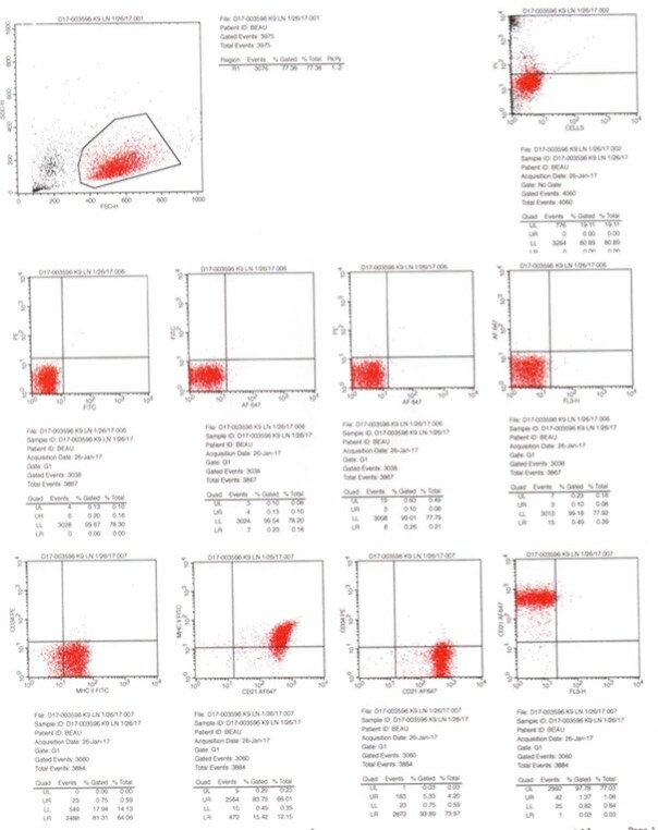 MHC Class II Antibody (CVS20) [Alexa Fluor® 488] NBP2-34848AF488
