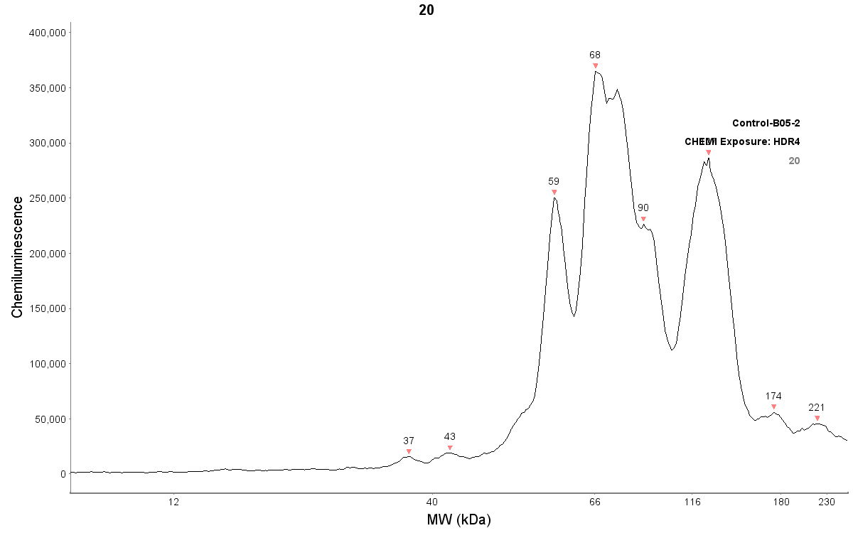 Cytochrome P450 1A1 Antibody (6G5) - BSA Free NBP2-37526