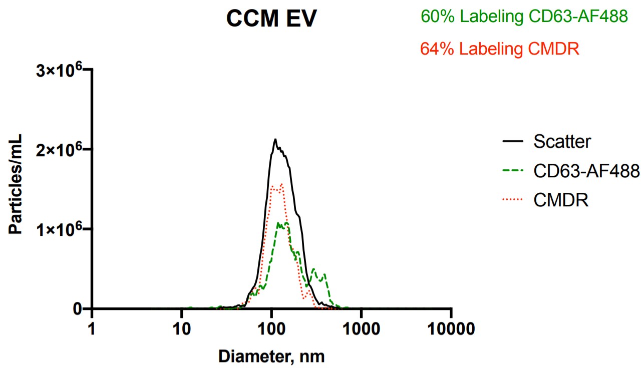 CD63 Antibody (H5C6) [Alexa Fluor® 488] NBP2-42225AF488