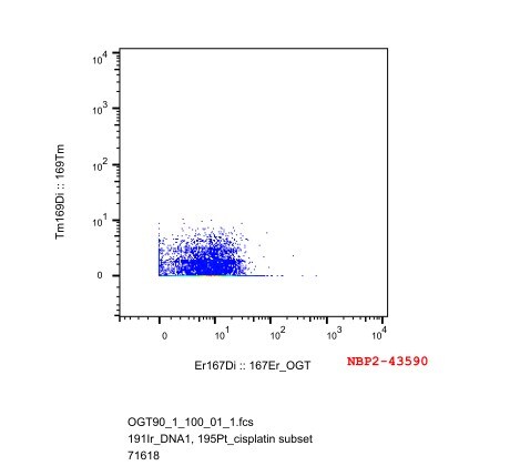 O-GlcNAc Transferase p110 subunit Antibody (678) - Azide and BSA Free NBP2-43590