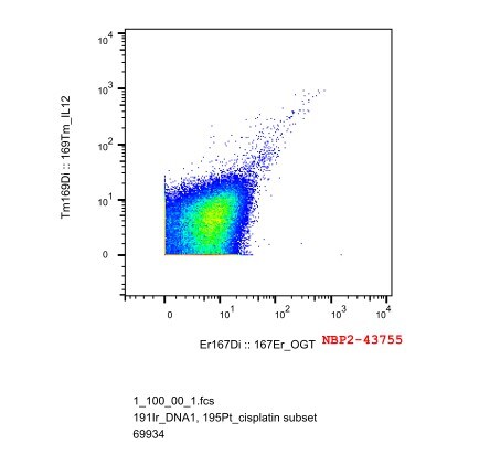 O-GlcNAc Transferase p110 subunit Antibody (2037) - Azide and BSA Free NBP2-43755