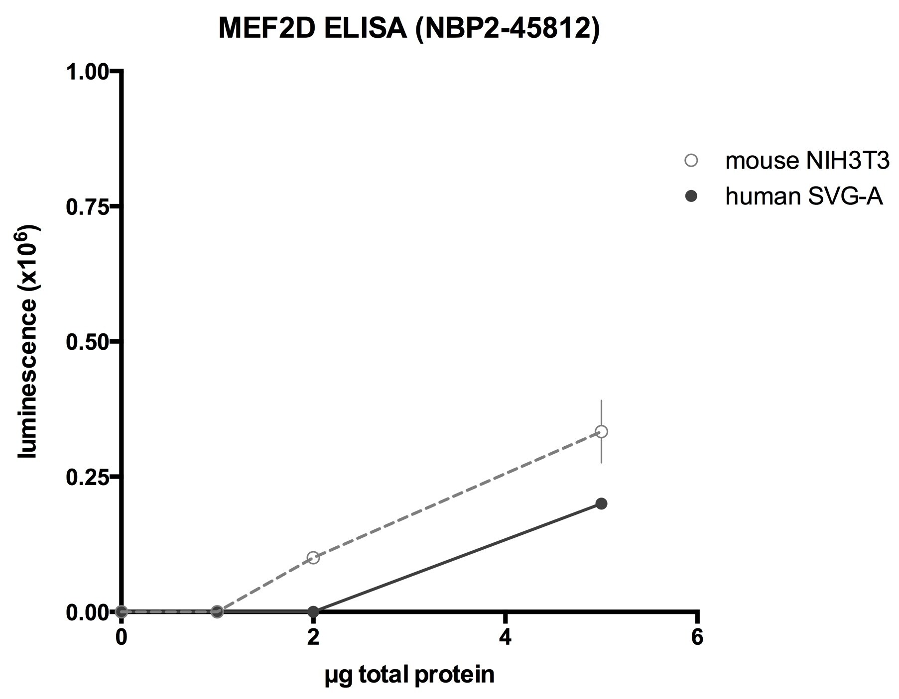 MEF2D Antibody (OTI1E11) NBP2-45812
