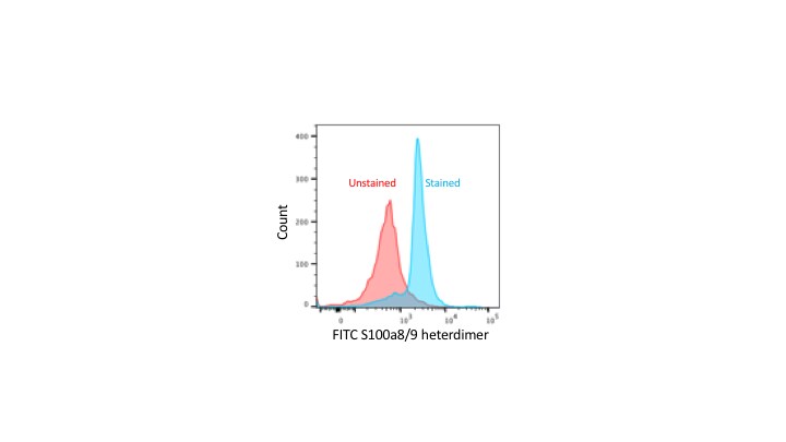 S100A9 Antibody (MAC387) [Alexa Fluor® 488] NBP2-47667AF488