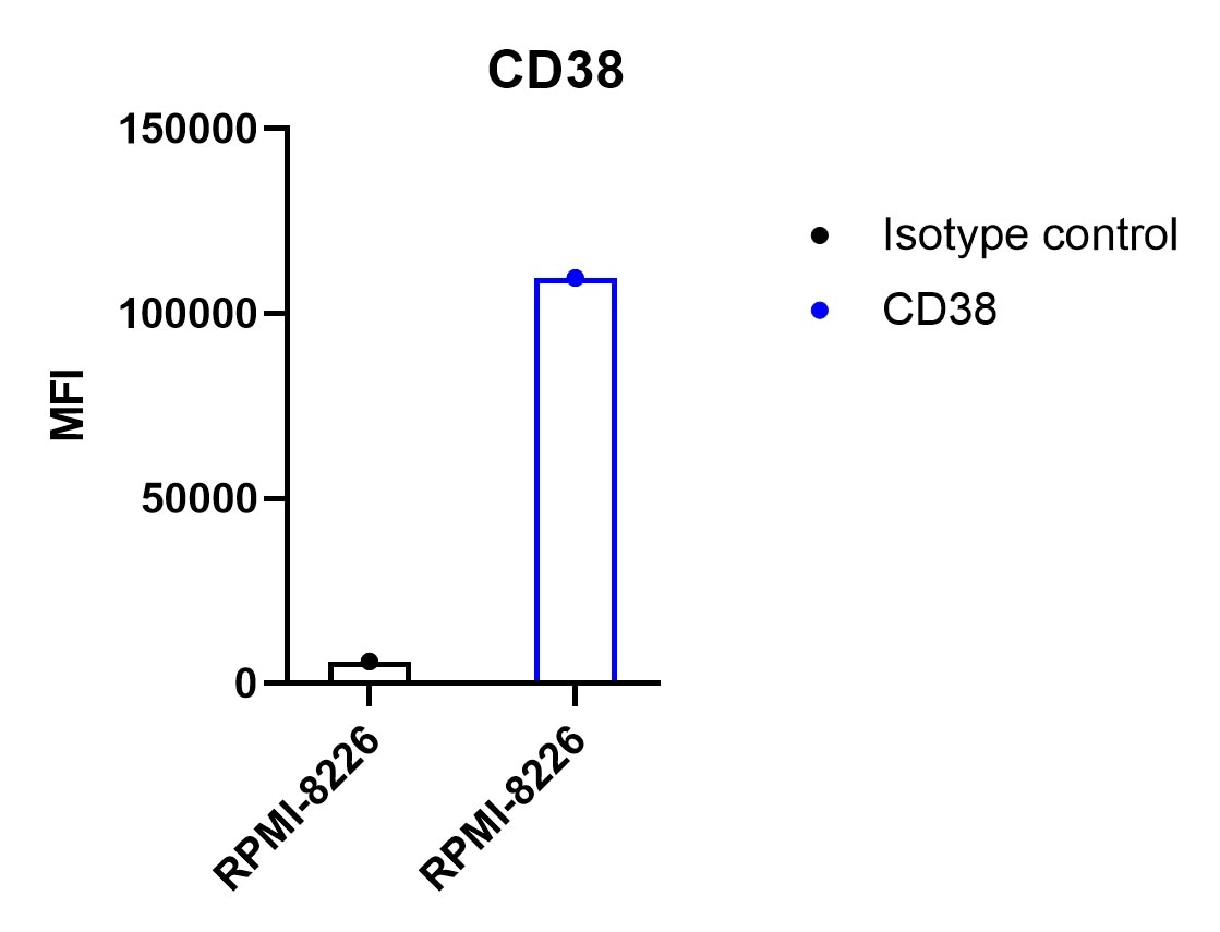 CD38 Antibody (AT1) [Biotin] NBP2-47908B