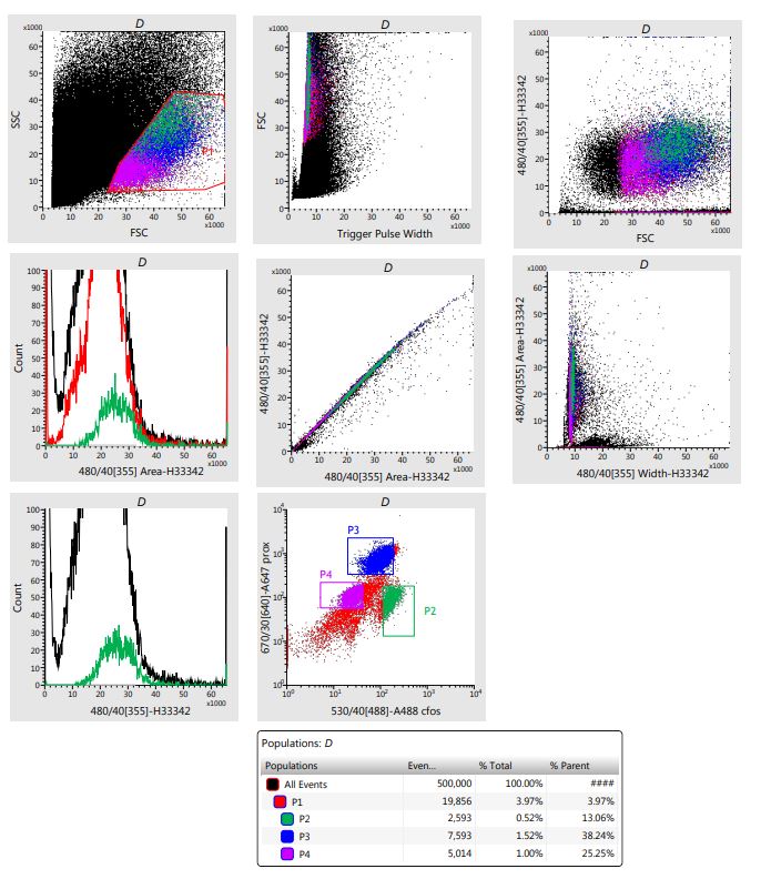 c-Fos Antibody (2H2) [Alexa Fluor® 488] NBP2-50037AF488