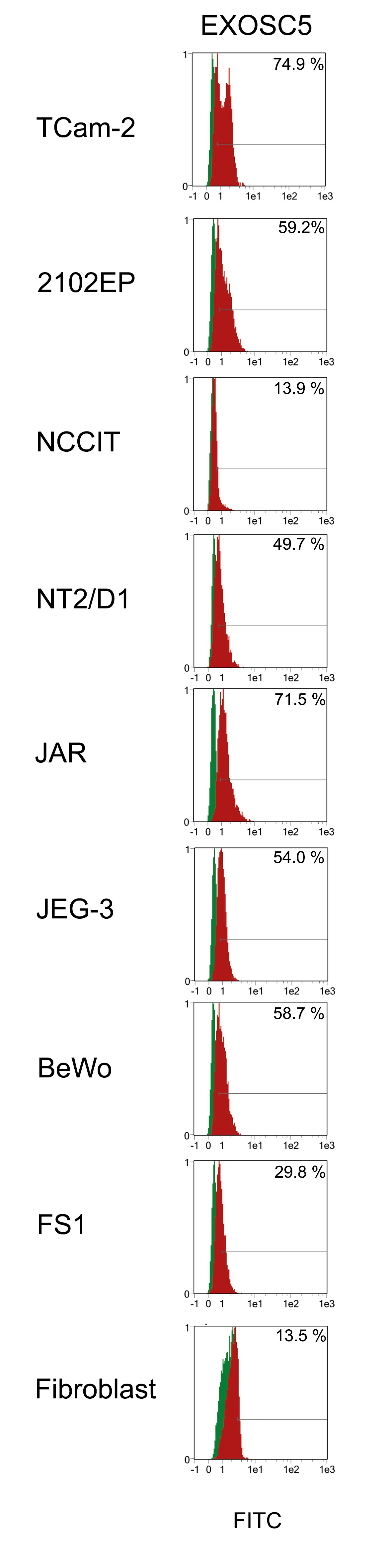 Exosome component 5 Antibody (V80P1C10*C) - BSA Free NBP2-50173