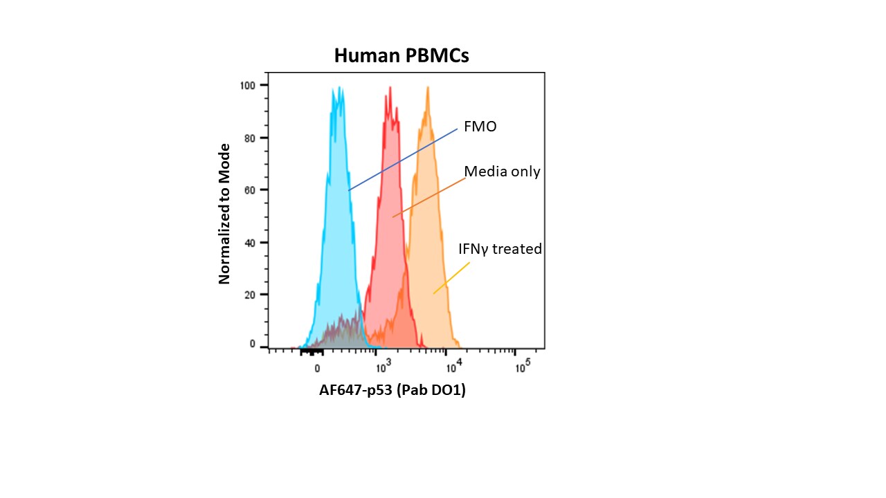 p53 Antibody (Pab DO-1) [Alexa Fluor® 647] NBP2-50538AF647