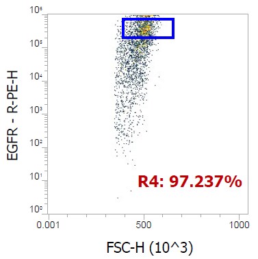 EGFR Antibody (DH8.3) - EGFRvIII, Mutant - BSA Free NBP2-50599