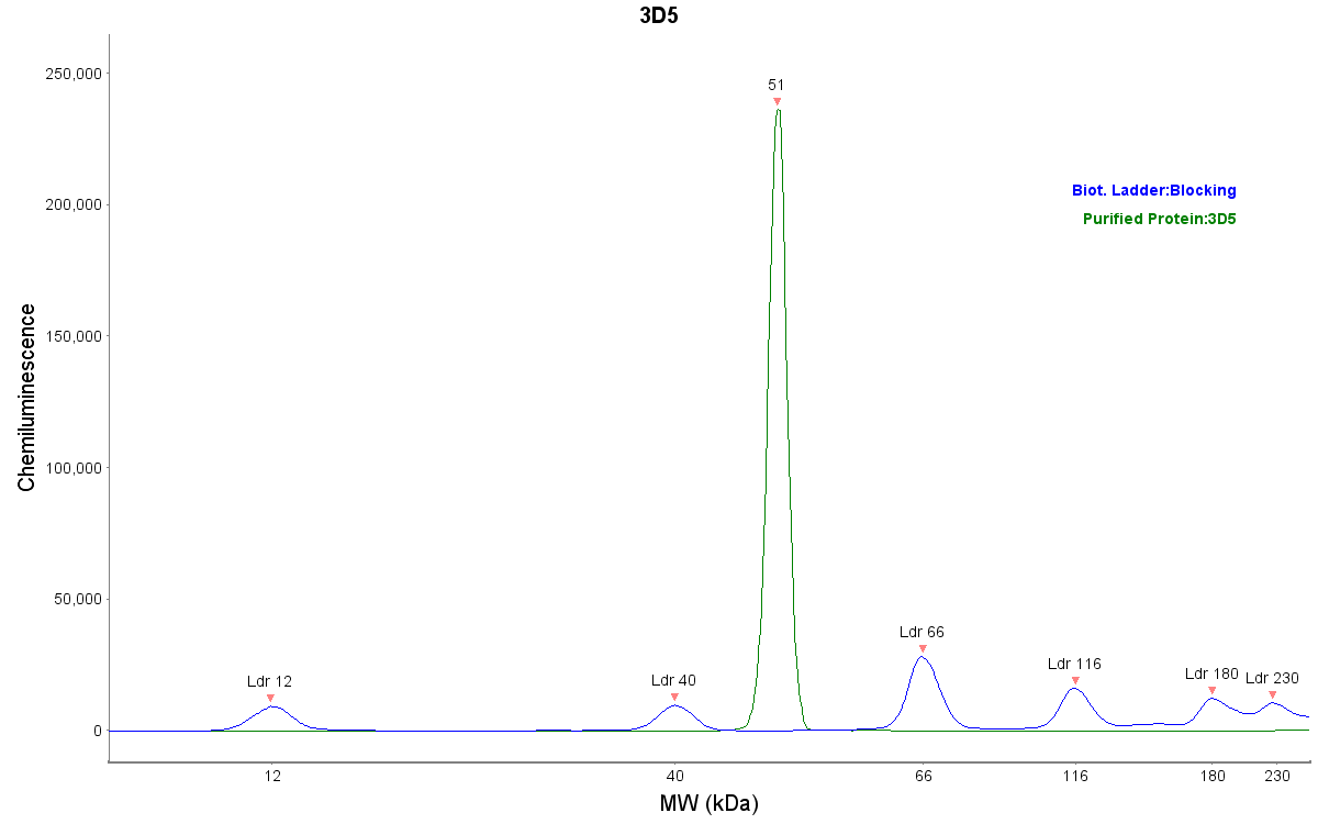 His Tag Antibody (3D5) - Chimeric - Azide and BSA Free NBP2-52637