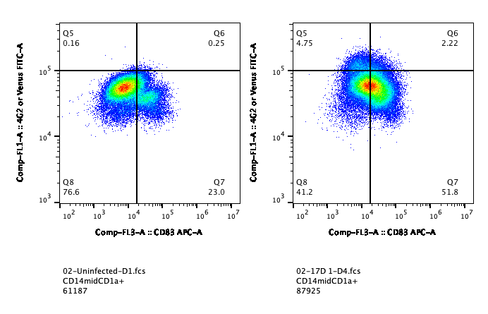 Flavivirus group antigen Antibody (D1-4G2-4-15 (4G2)) [FITC] - Chimeric NBP2-52666F